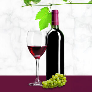 Promozione della cantina e dell’attività enoturistica